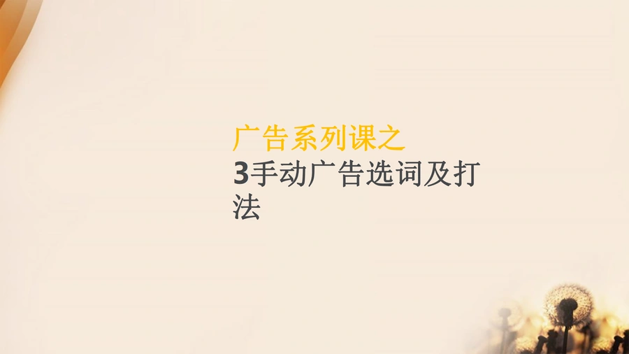 亚马逊手动广告系统性全流程选词及打法详解-13页
