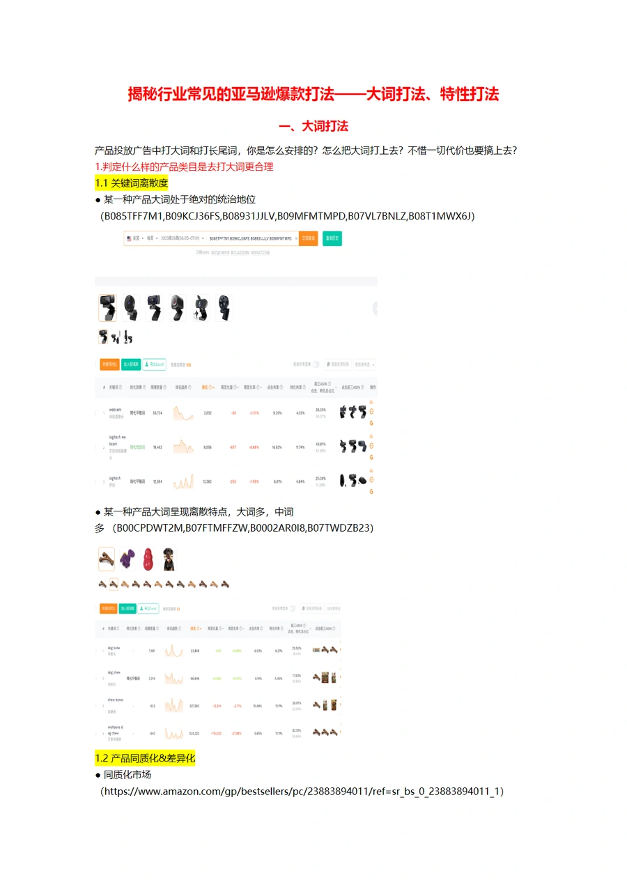 揭秘行业常见的亚马逊爆款打法——大词打法、特性打法-5页