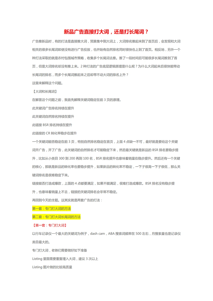 新品广告策略：大词与长尾词的投放逻辑与实战解析-3页