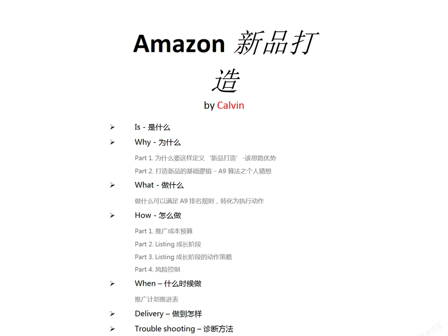 亚马逊新品打造全流程策略指南-15页