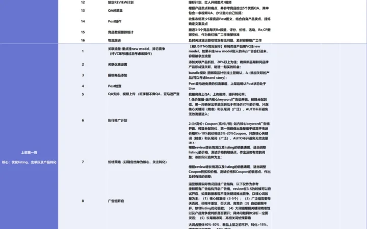 亚马逊新品推广SOP执行手册-102行-1个子表
