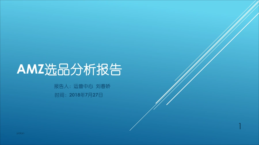 帕拓逊亚马逊选品分析报告-27页