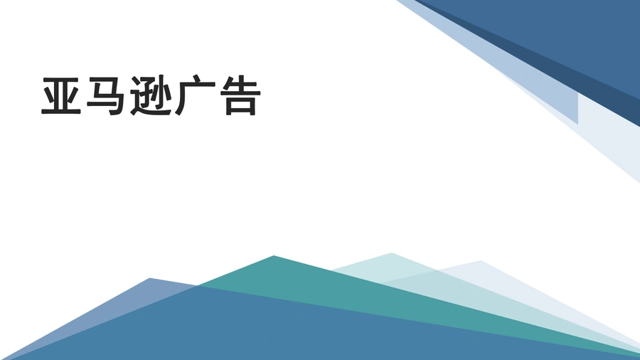 深圳某大卖亚马逊CPC广告优化大全-58页