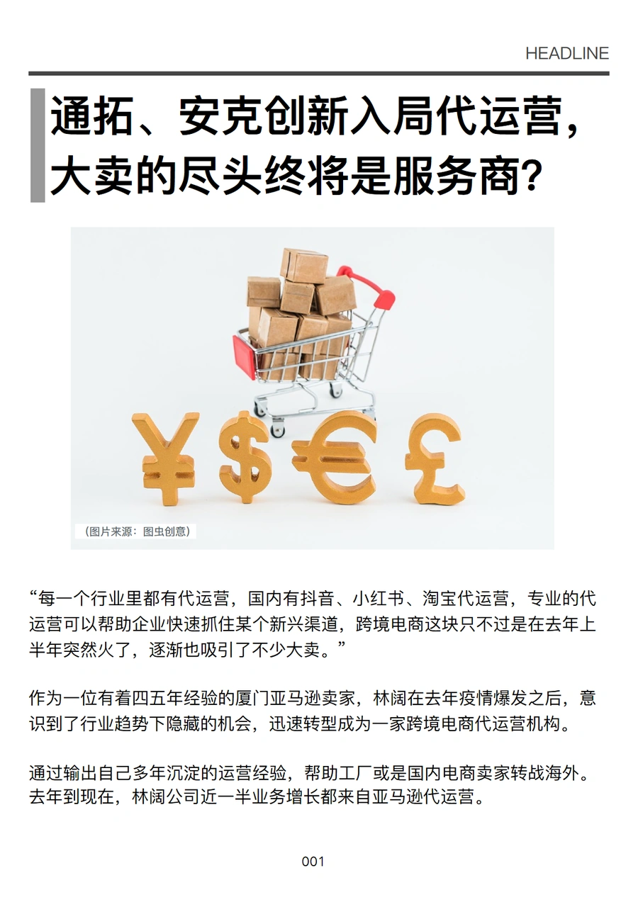 跨境电商大卖转型代运营市场分析与策略指南-76页