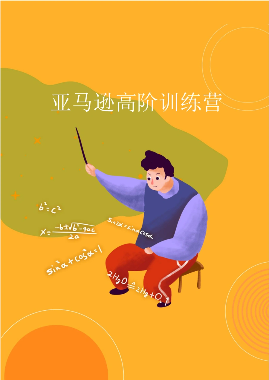 亚马逊高阶运营培训手册-313页