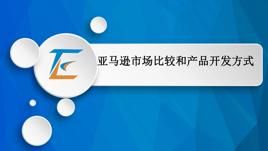 亚马逊市场比较与产品开发策略指南-19页