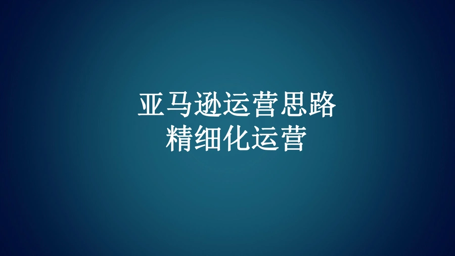 亚马逊精细化运营实战指南-13页