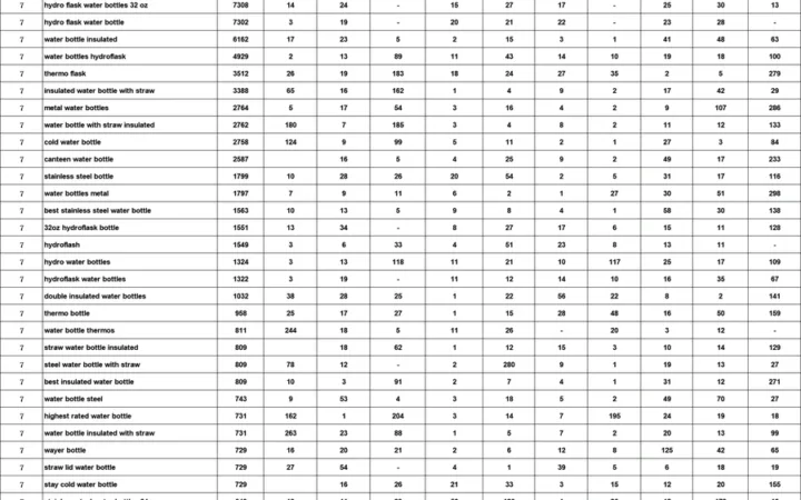 跨境电商卖家必备：Water Bottles 关键词筛选与分析-33637行-6个子表