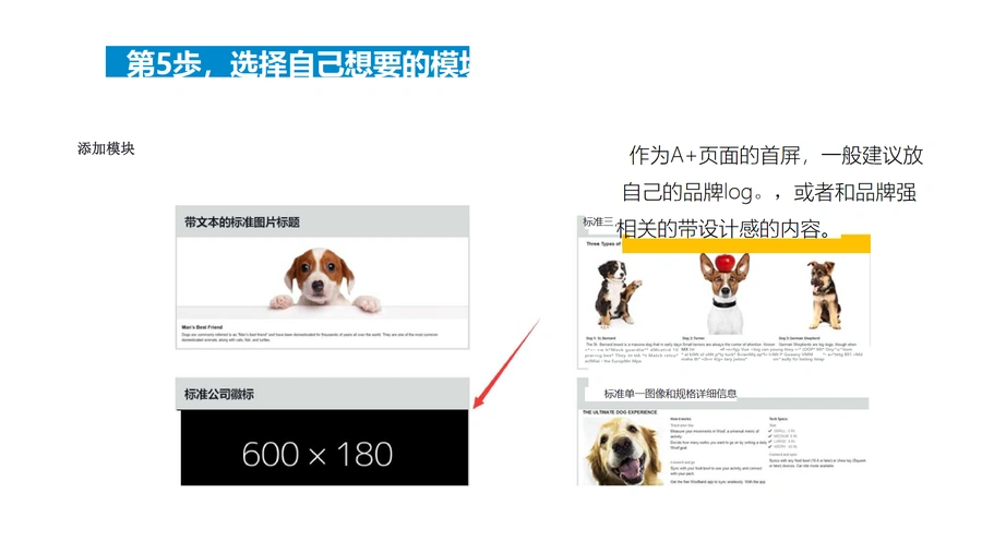 亚马逊A+页面制作全流程指南-文章场景图