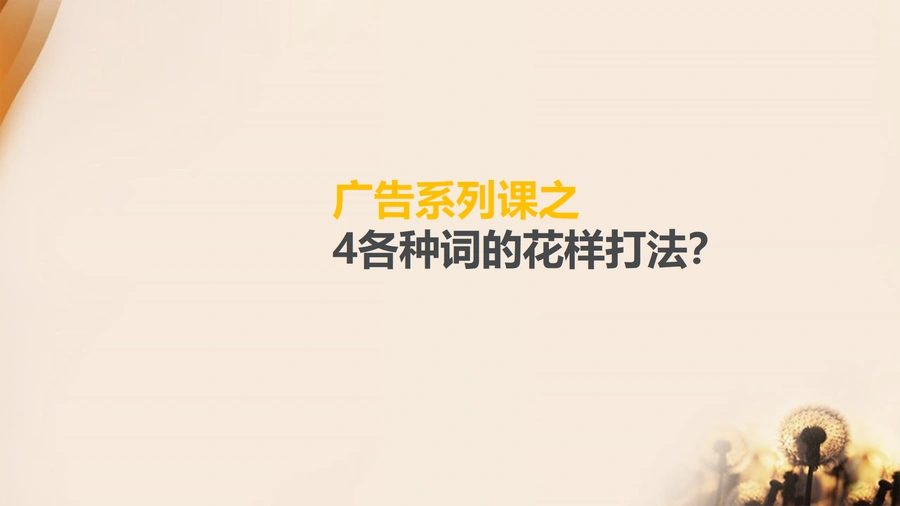 跨境电商广告优化实战指南：关键词花样打法解析-11页