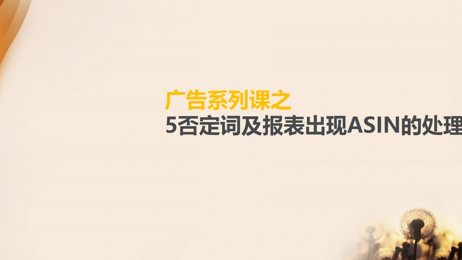 亚马逊广告优化指南：否定词与ASIN处理策略-10页