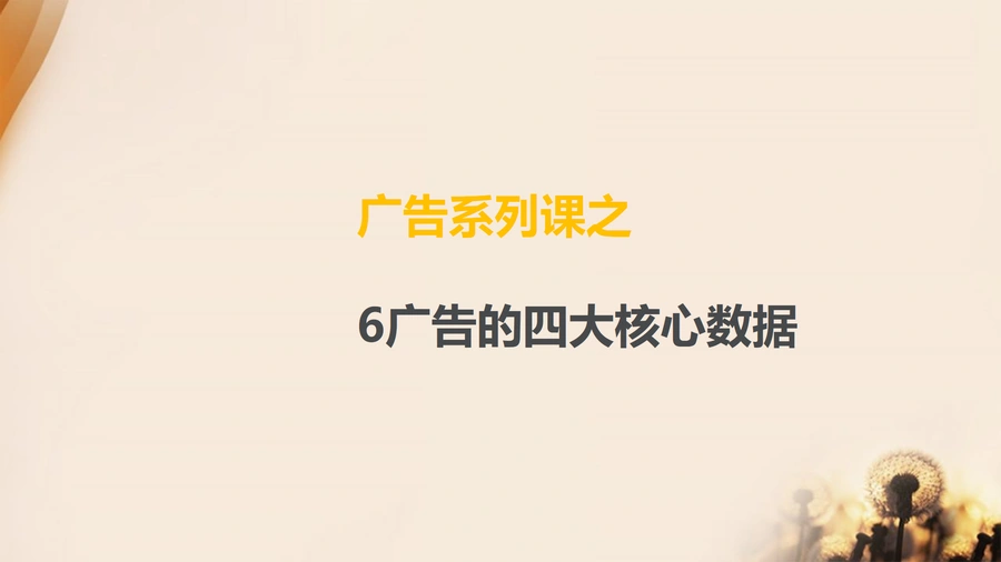 亚马逊广告四大核心数据优化指南-11页