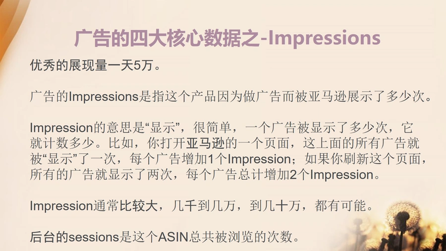 亚马逊广告四大核心数据优化指南-文章简介图