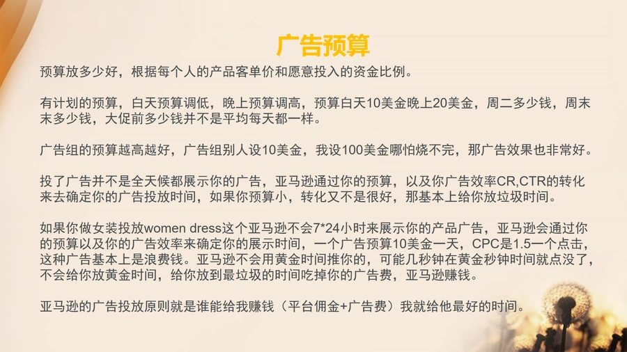 亚马逊广告预算与竞价策略实战指南-文章简介图
