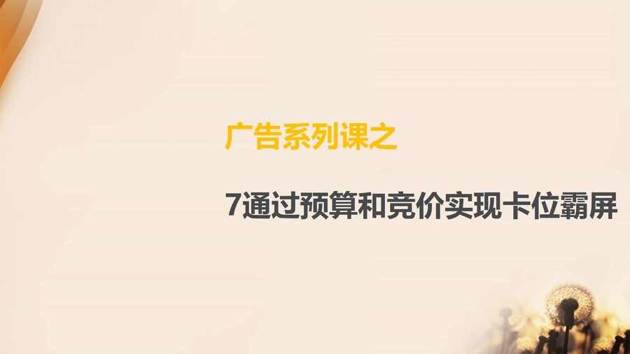 亚马逊广告预算与竞价策略实战指南-11页