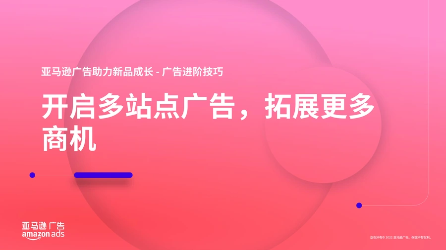 亚马逊广告进阶技巧-多站点广告拓展商机指南-24页