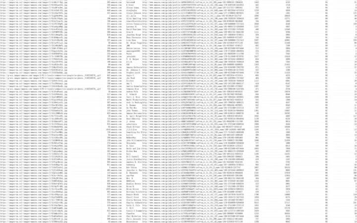 亚马逊Top 1000评论者分析报告-1000行-1个子表