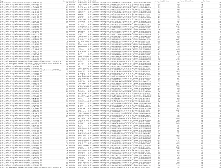 亚马逊Top 1000评论者分析报告-1000行-1个子表