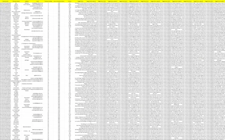 德国站Amazon Top Reviewer 1000强榜单及产品分析-1001行-1个子表