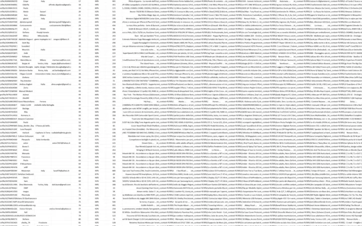 意大利亚马逊Top Reviewer数据汇总-1001行-1个子表