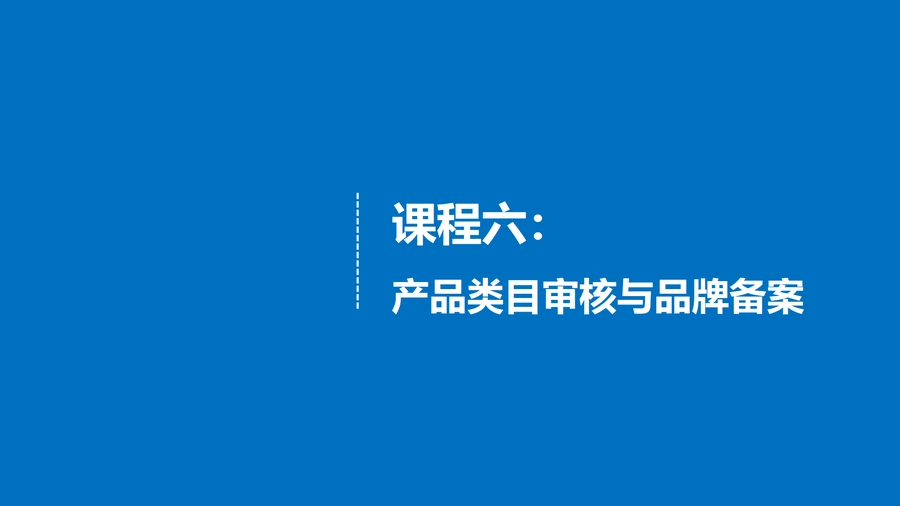 亚马逊产品类目审核与品牌备案实战指南-31页