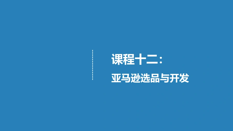 亚马逊选品数据分析与产品开发实战指南-55页