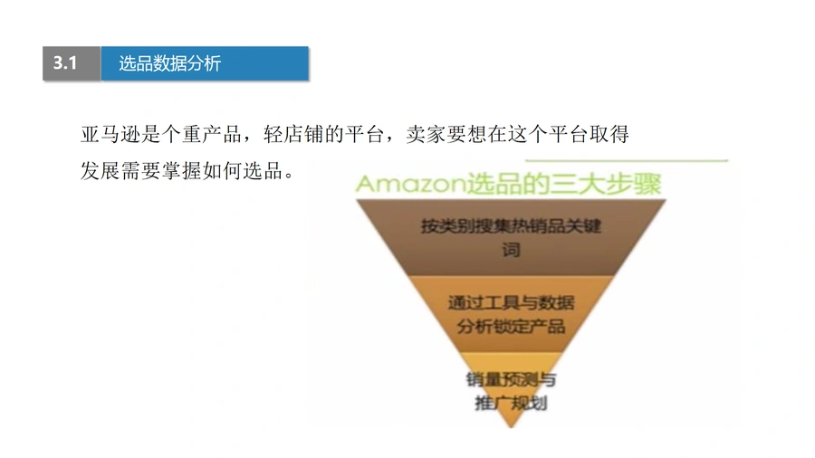 亚马逊选品数据分析与产品开发实战指南-文章简介图
