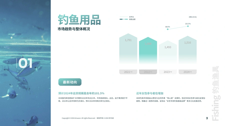 2024年亚马逊日本钓鱼用品市场机会品类调查报告-文章简介图