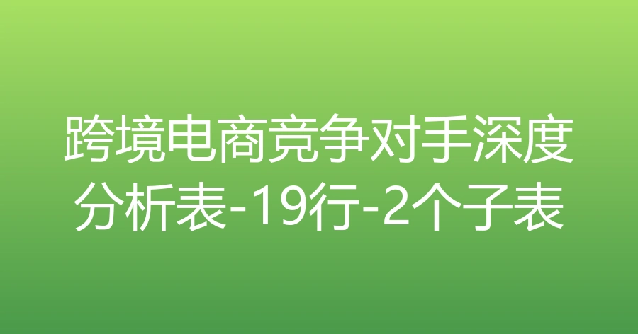 跨境电商竞争对手深度分析表-19行-2个子表