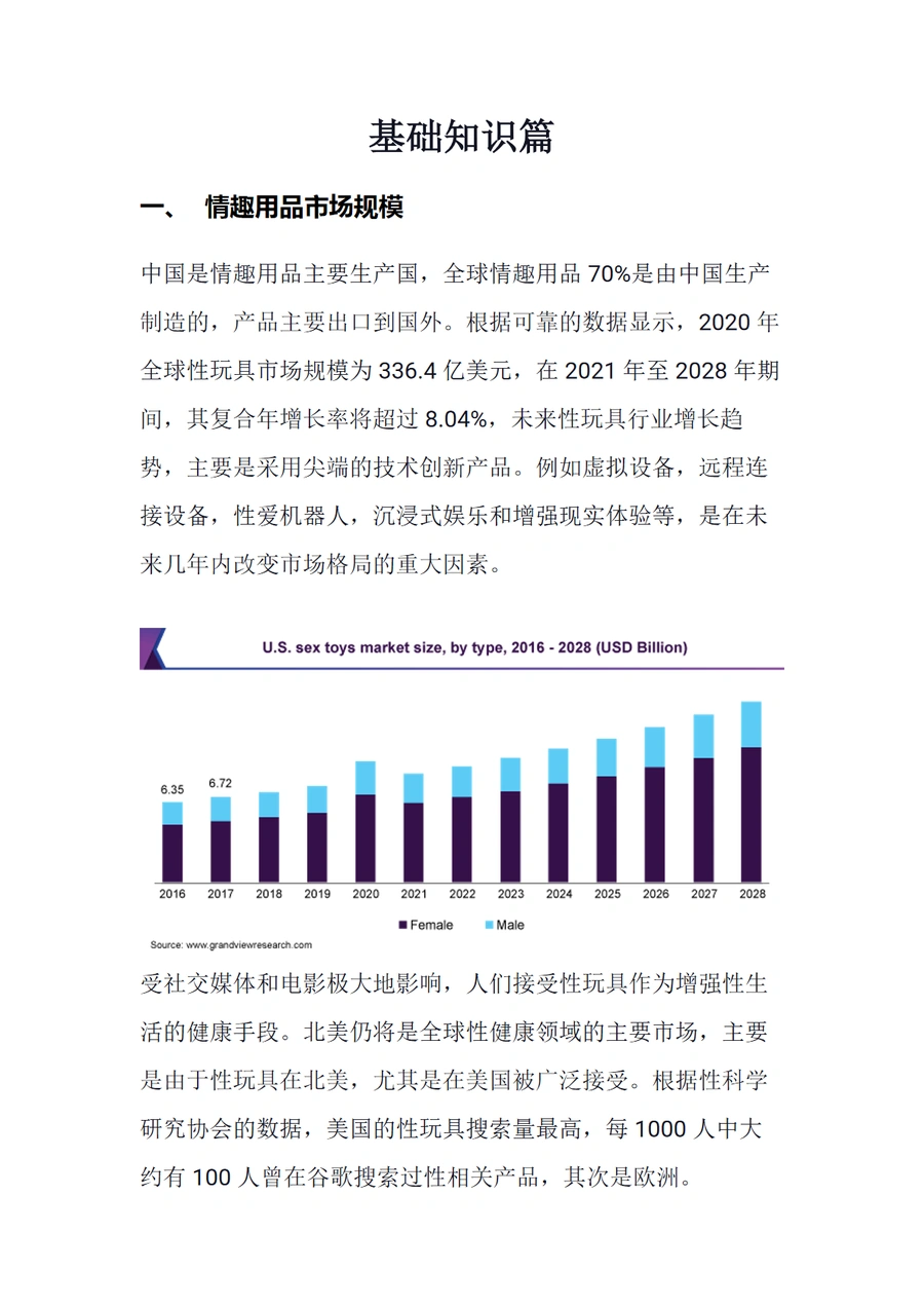 2025年全球情趣用品市场趋势与跨境电商选品策略-12页