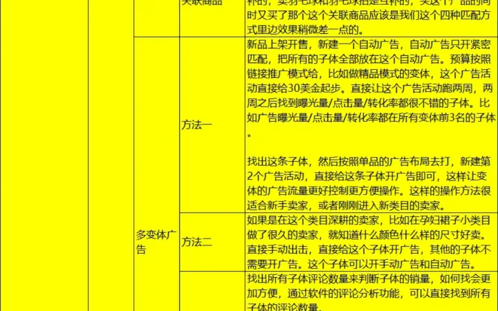 亚马逊广告投放策略与优化指南-30行-1个子表