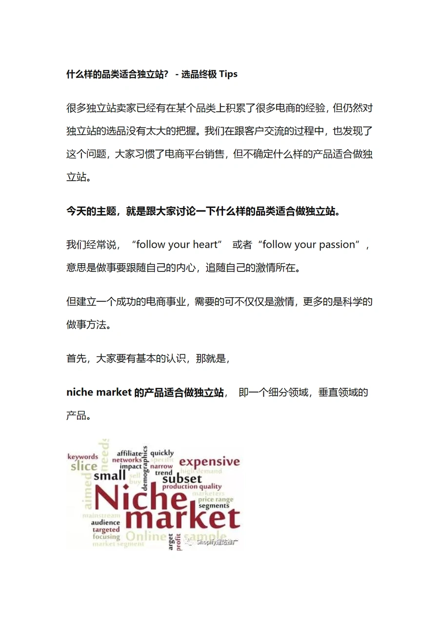 独立站选品终极指南与实用技巧-6页