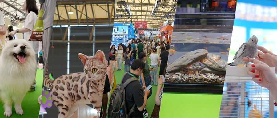市场趋势｜智能猫砂盆热销欧洲 宠物经济四大趋势解析