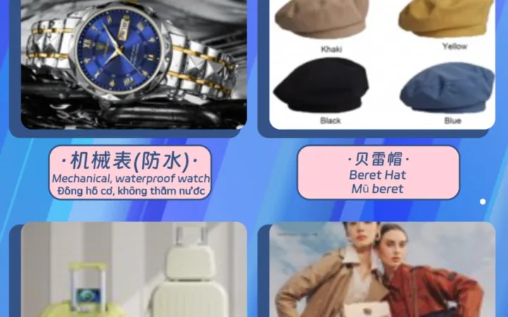 市场趋势｜越南年末大促前热销品类洞察 Lazada 11.11选品机会分析