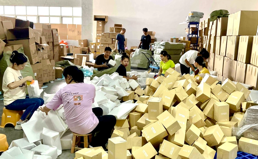 市场趋势｜速卖通双11首日多品类爆单 投影仪单日超【1万单】新手商家订单达月销【21倍】-文章封面图