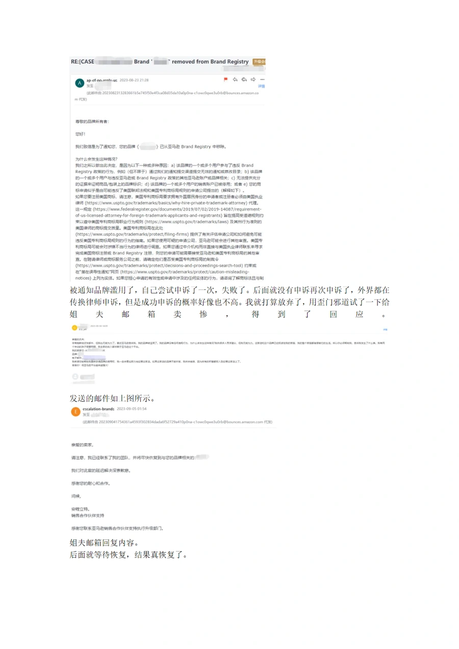 亚马逊品牌滥用恢复实战案例与申诉指南-2页