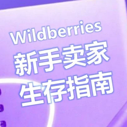 运营指导｜Wildberries新手卖家物流模式与责任边界，入驻后该做什么？2026年3月30日-文章封面图