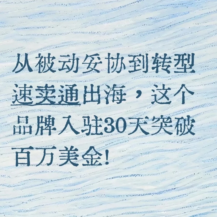 卖家故事｜ECO-WORTHY速卖通30天破百万美金,获定制化出海方案