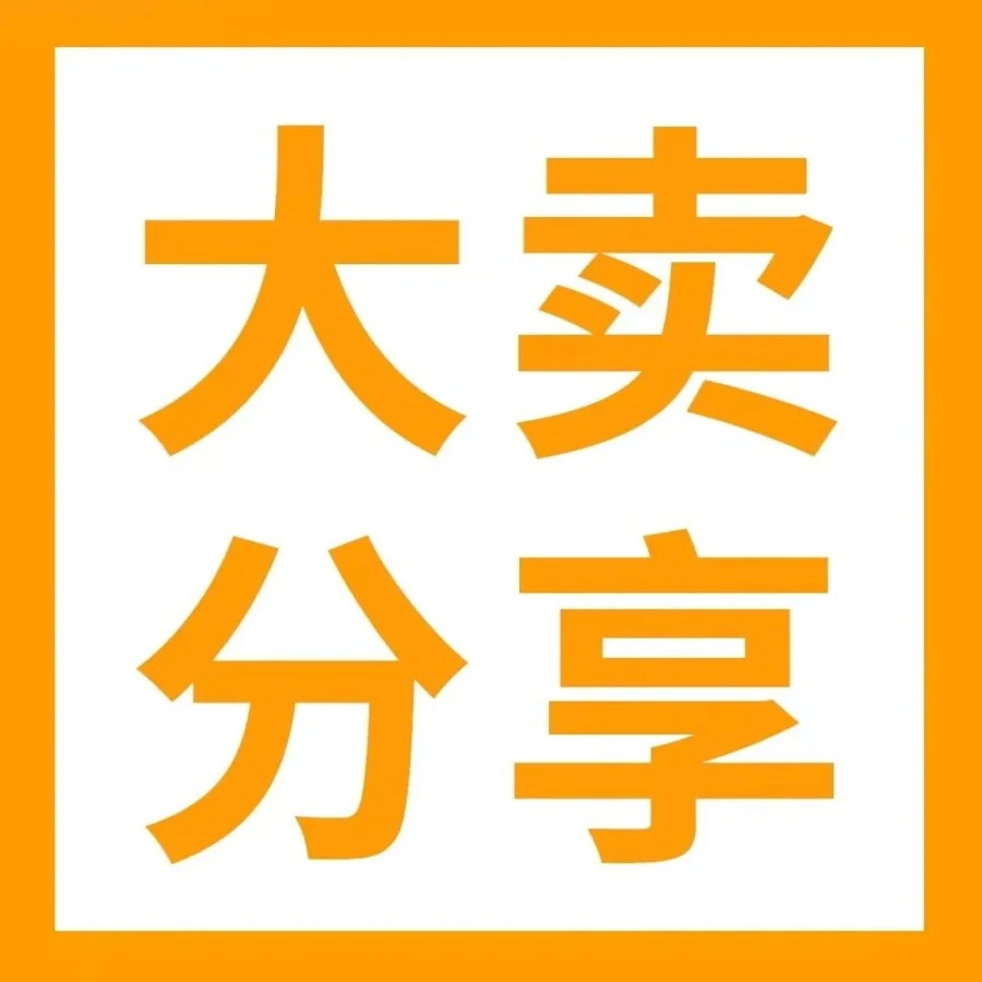 卖家故事｜Vantrue黑五网一销量破2W件，高客单价产品如何稳准突围？-文章封面图