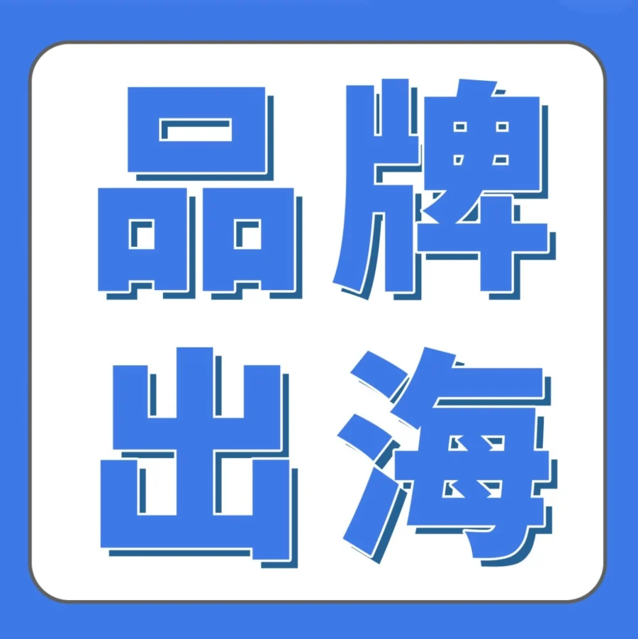 卖家故事｜入驻亚马逊首年营收31.69亿！出海大卖如何打造全球化品牌-文章封面图
