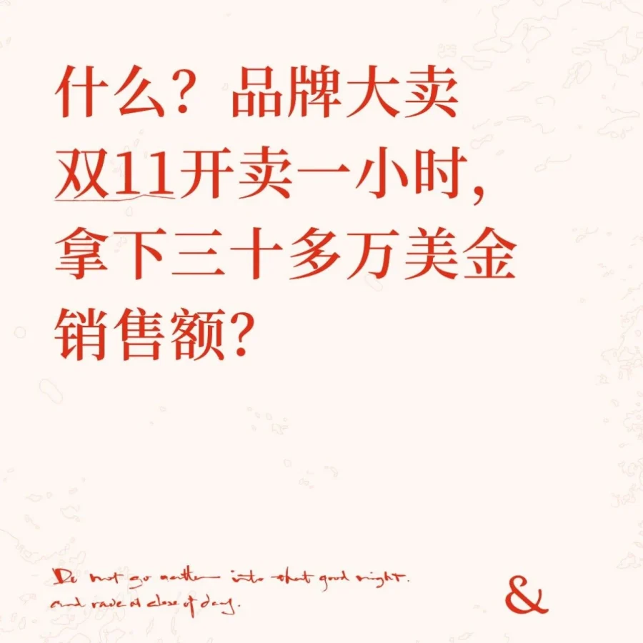 卖家故事｜品牌大卖双11首小时破30万美金，多市场拓展成增长新引擎-文章封面图