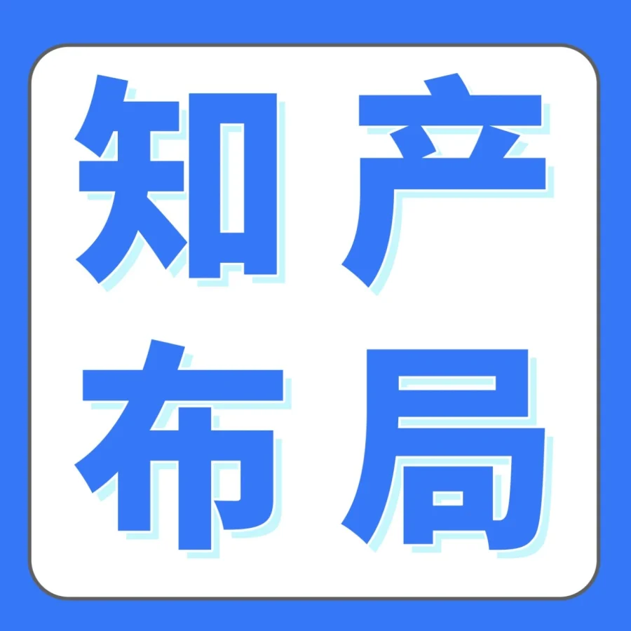 卖家故事｜安克305亿营收背后的知识产权护城河：从“事后救火”到“事前预防”的体系化打法