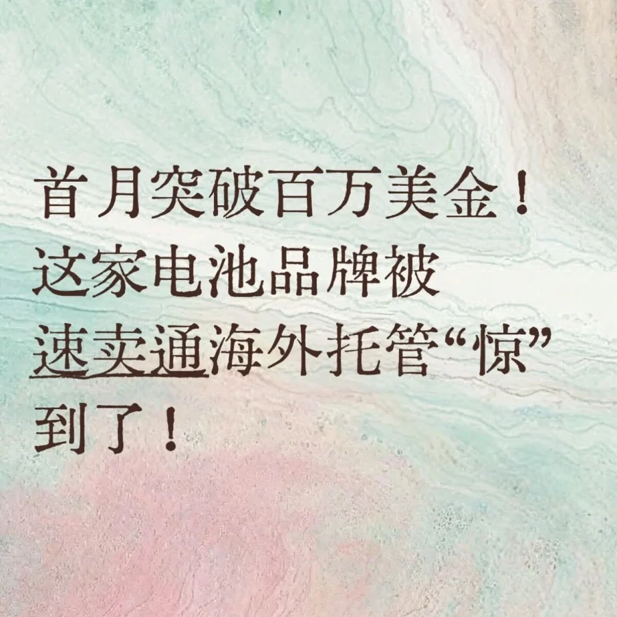 卖家故事｜ECO-WORTHY借AliExpress海外托管模式30天冲百万美金