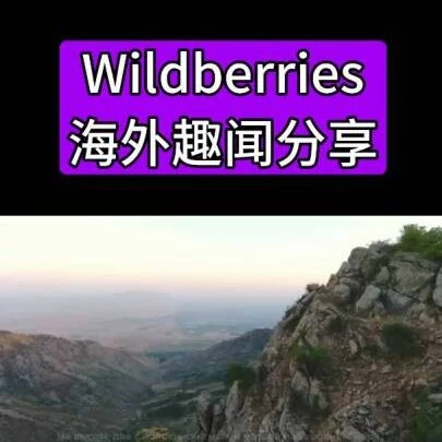 官方资讯｜Wildberries在帕米尔高原开设全球海拔最高自提点，服务18万山区居民-文章封面图