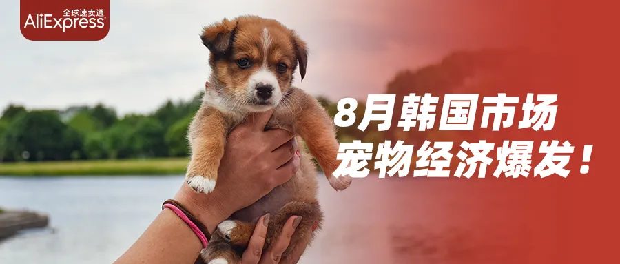市场趋势｜8月欧美返校季消费爆发，韩国宠物市场空缺达10亿美元-新闻简介插图