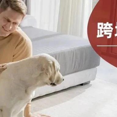 市场趋势｜ILIFE扫地机器人100万台销量背后：从代工到中国品牌出海的转型实践