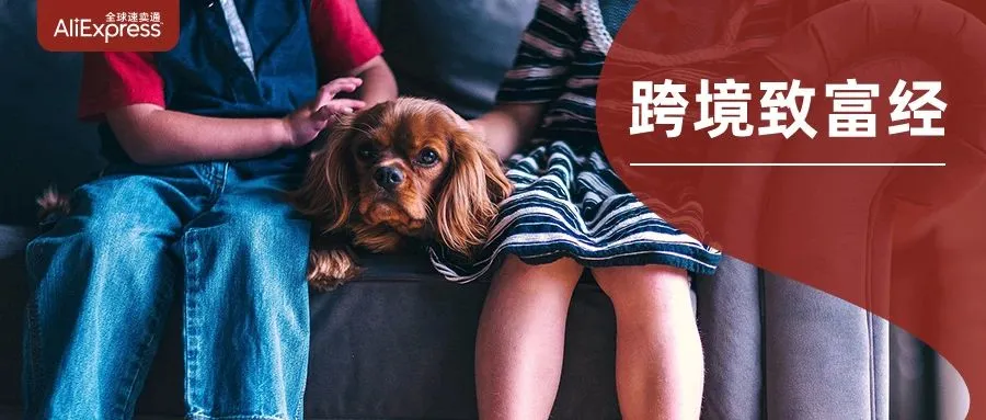 市场趋势｜ROJECO智能喂食器在韩国市场销量暴涨704%，凸显宠物消费升级趋势-文章封面图