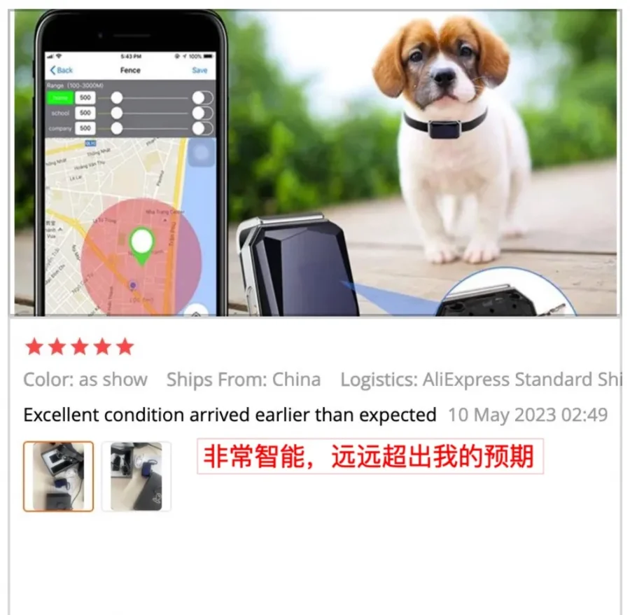 市场趋势｜海外宠物用品需求激增，卖家如何抓住机会？-新闻简介插图