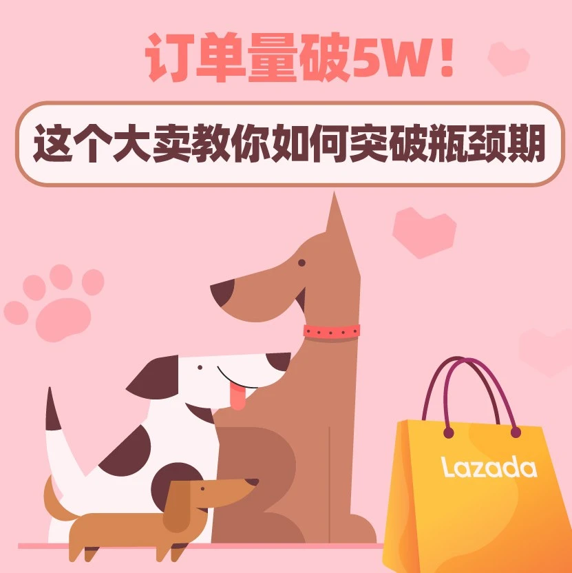 市场趋势｜重庆好购宠物用品跨境店铺单月订单量破5W，揭秘推广与体验优化方法-文章封面图