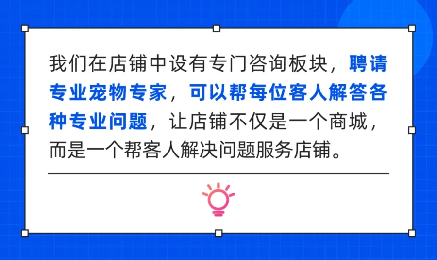 市场趋势｜重庆好购宠物用品跨境店铺单月订单量破5W，揭秘推广与体验优化方法-新闻简介插图